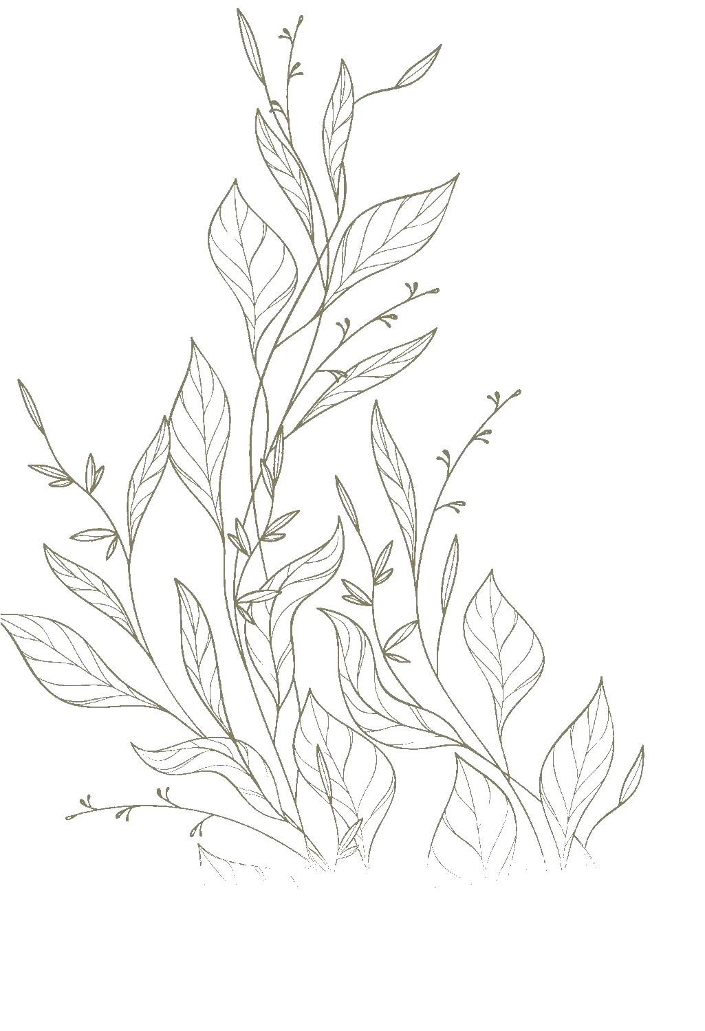 navigation decorative image